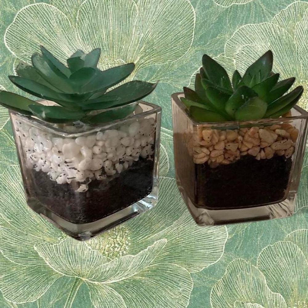 Fake Succulent terrariums with glass containers